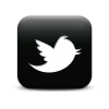 matte-black-new-twitter-bird